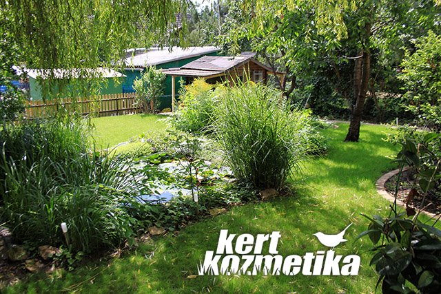 1. fűnyírás után rendezettebb kert (37)